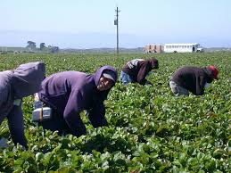 Immigrant work, Immigrant's stink. E. P. Lee, STUFF