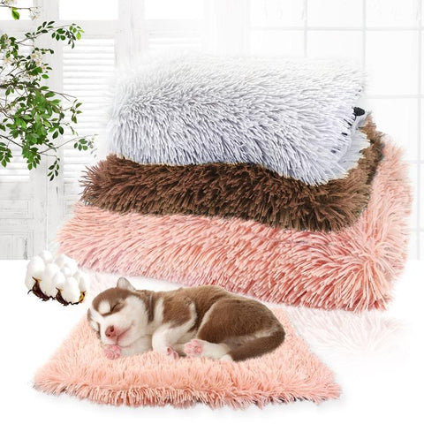 chihuahua bed pad blanket