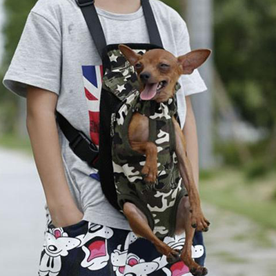 Backpack Chihuahua Carrier