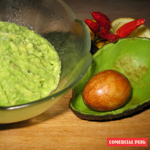 salsa guacamole