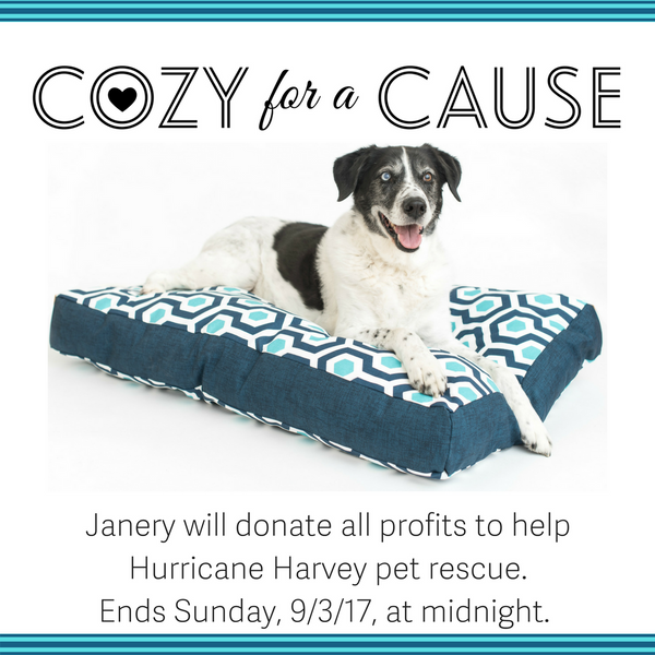 Janery Hurricane Harvey Pet Rescue Donations