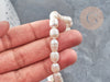 Perle naturelle blanche ovale eau douce 8-14mm, perle de culture percée , le fil de 35 cm, X1 G1937