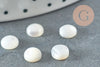 Cabochon rond nacre blanche, cabochon coquillage, cabochon nacre, création bijoux, coquillage naturel, nacre naturelle,5.4mm, X1 G1738