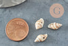 Pendentif coquillage naturel marron et blanc , coquillage percé pendentif coquillage, X20 G1981