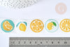 Autocollants motifs fruits d'été pour cadeau 2.5x0.1 cm, autocollants pour cadeaux, le rouleau de 500 autocollants G7061-Gingerlily Perles