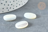 Cabochon ovale nacre blanche 18x13x4.5mm, cabochon pour création bijoux, l'unité G7376-Gingerlily Perles