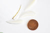 Corne nacre blanche naturelle percé, pendentif corne, coquillage blanc,non percé,création bijoux, Pendentif nacre, 33-38mm, lot de 2,G2678