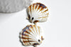 pendentif porcelaine beige coquillage, perle céramique géométrique pour fabrication bijoux en céramique blanche, Lot de 5, 30mm,G3310