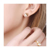perle disque bois résine, bois naturel, perles bois, Perles géométriques,perle ronde,perle ronde bois création bijoux bois,10mm, les 5 G331