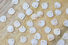 Pendentif charm coquillage nacre blanche naturelle ,pendentif coquillage nacre,coquillage blanc,création bijou, 10mm, les 5 G4623