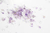 Sable améthyste violette naturelle brute roulée,pierre naturelle,litotherapie,chips amethyste,Sachet 20 grammes,3-9mm- G5171