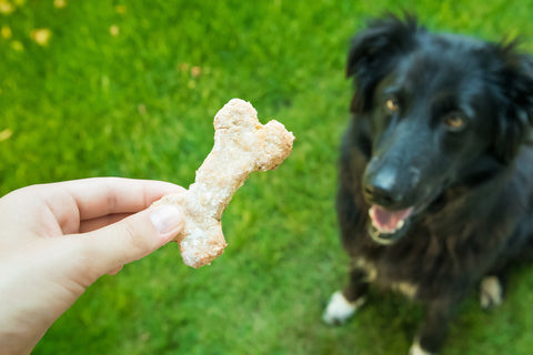 Dog Bone Cookies