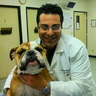 peter hanna park animal vet