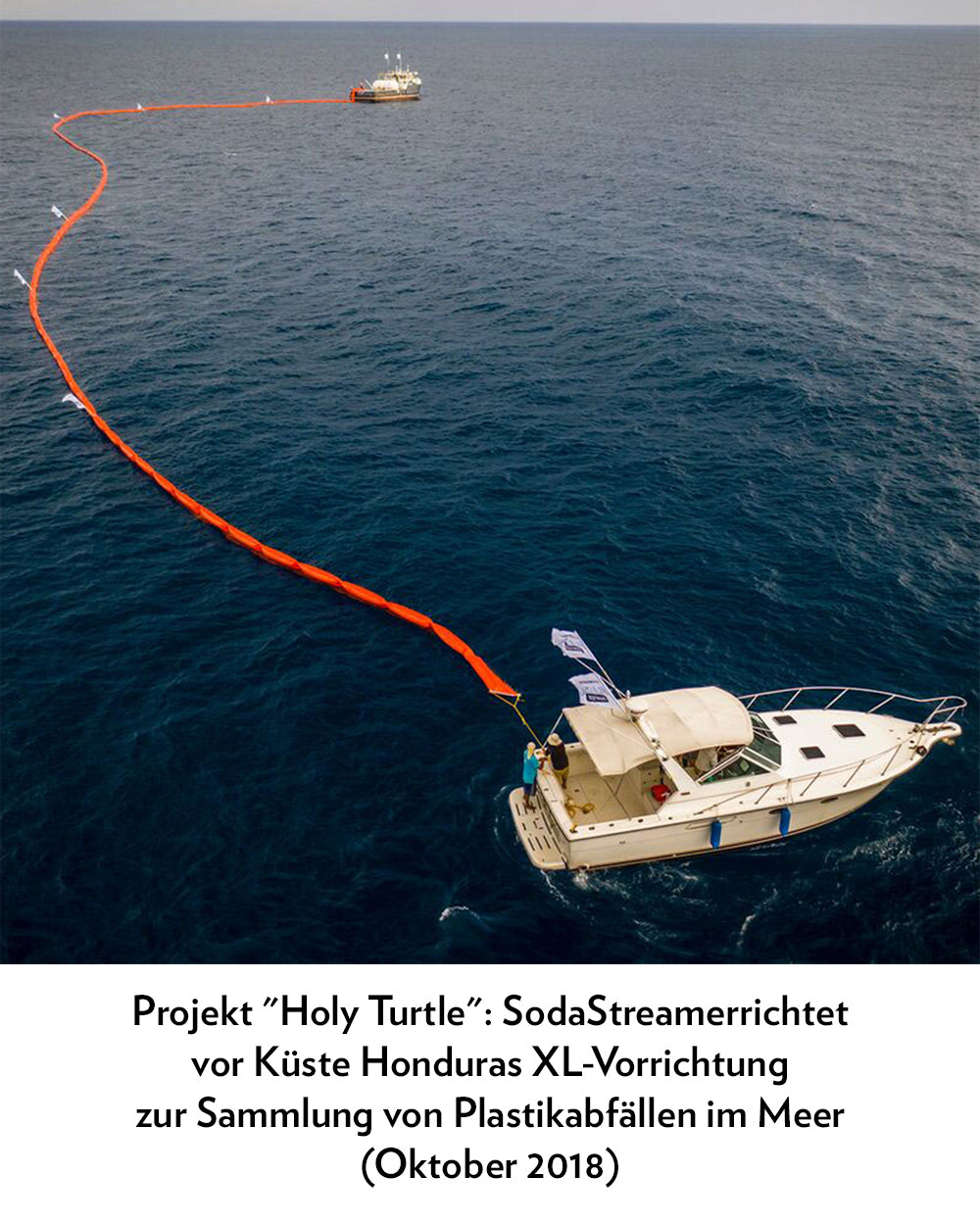 projekt holy turtle