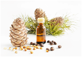 Natural Cedar Wood Oil Insect Repellent
