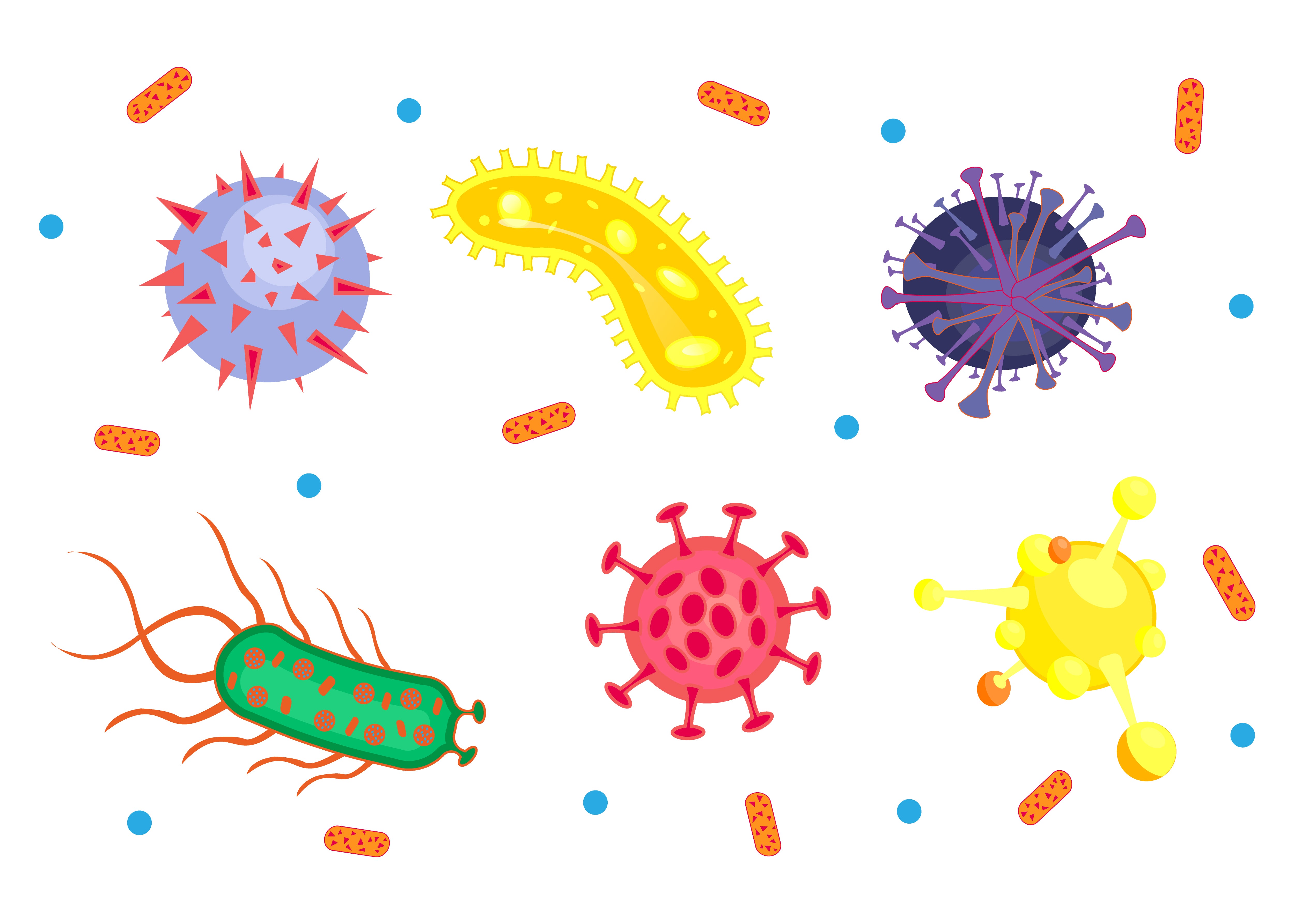 Virus & Insects Microscopic view