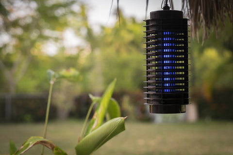 Ultrasonic insect repellent devices
