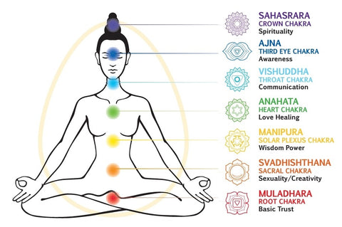Chakras and Glands
