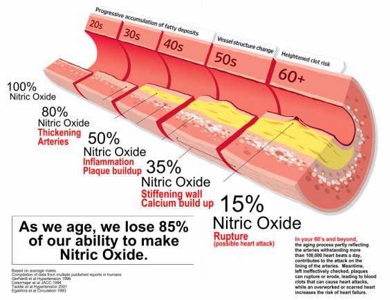 Nitric Oxide Benefits