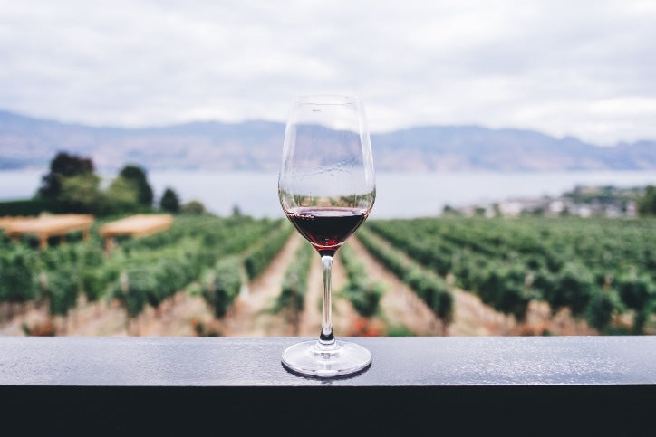 Red wine at vineyard