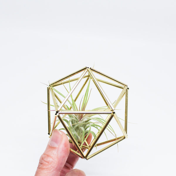 Hemleva's Orb Mini Himmeli Air Plant Holder, handmade in Seattle