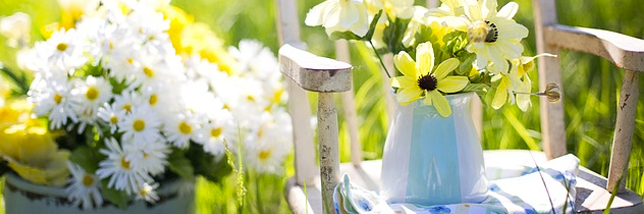 flowers on a chair in a field 