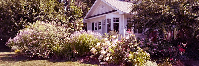 house with flowers 