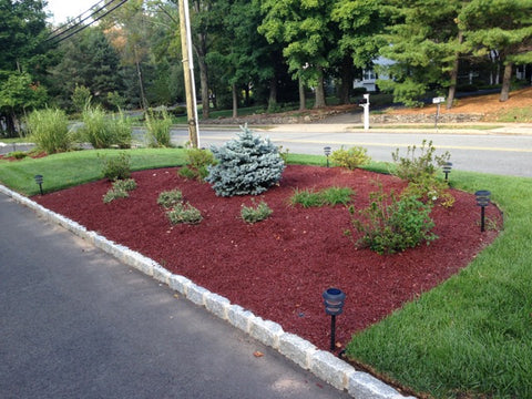 Red rubber mulch landscape design