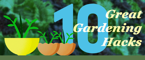 a few planters with sprouts and the text 10 great gardening hacks