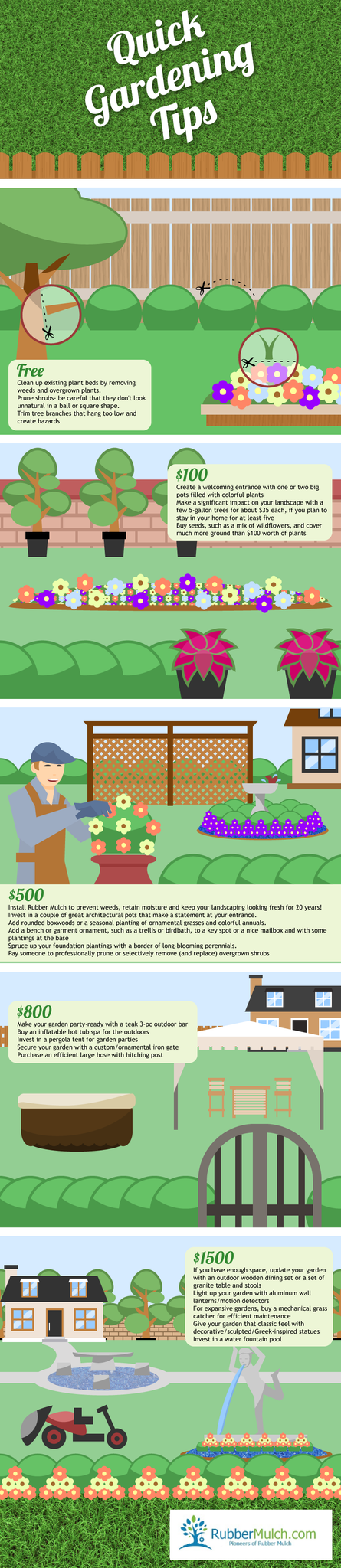 quick gardening tips infographic