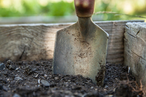 soiling the garden