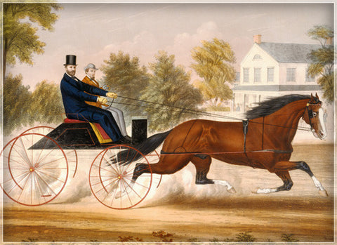 Ulysses S. Grant Carriage 