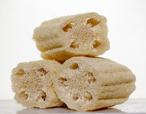 Natural loofah sponges