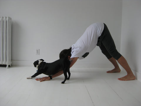 Brian Kroeker Yoga  Downtown Betty Dhoti Pants & Men's V-Neck T