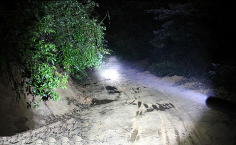 Baseball Bat Flashlight at Night