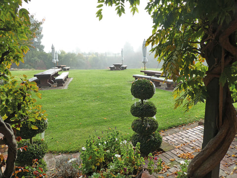 Foggy morning at the Pegasus Bay Restaurant