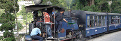 Darjeeling Tea Estate Toy Train
