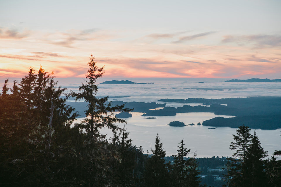 new tall trees hike prince rupert mike seehagel