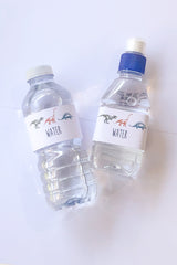 Dino Adventures Water Bottle Wraps