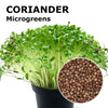 Microgreen seeds - Coriander Bombei