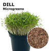 Microgreen seeds - Dill Mistral