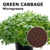 Microgreen seeds - Green cabbage Osiride