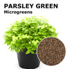 Microgreen seeds - Parsley Green Musk