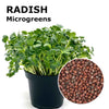 Microgreen seeds - Radish Daikon