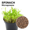 Microgreen seeds - Spinach Guru