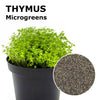 Microgreen seeds - Thymus Sirino