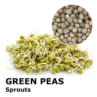 Sprouting seeds - Viridios green pea