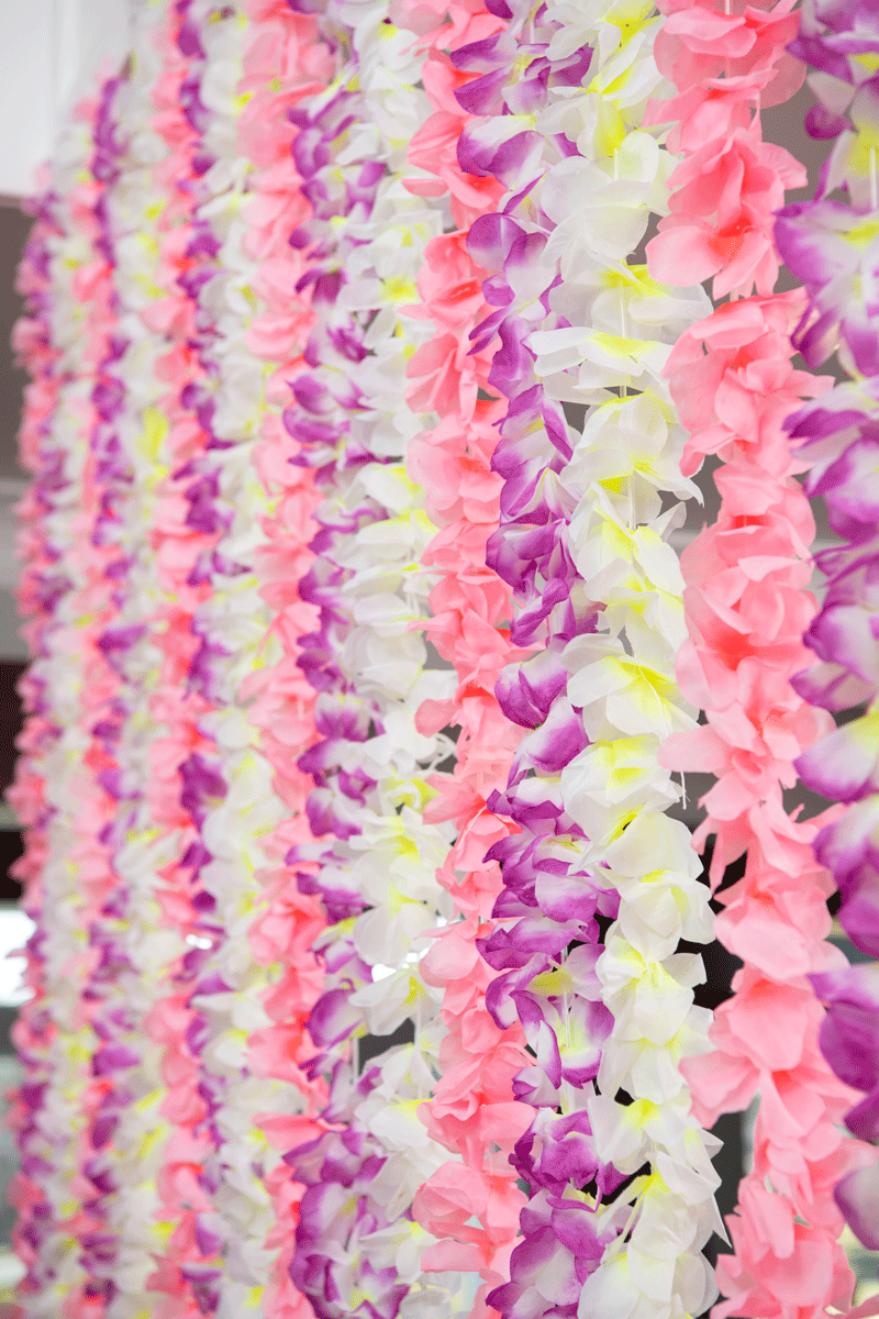 Spring Flower Window Decor