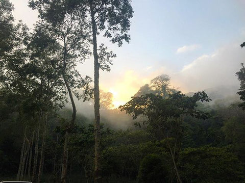 Finca San Jeronimo Miramar Sunrise