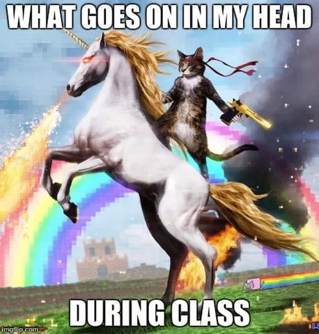 cat riding a unicorn funny meme